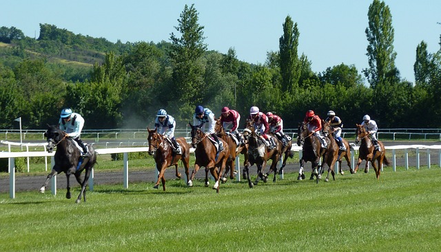 horse racing betting site